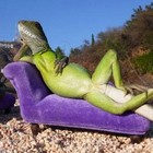Picture for song 'Lizards' by artist 'Offshore Angler'