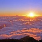 Picture for song 'SHINE WITH ME' by artist 'ohp'