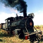 Picture for song 'spine kept a rollin' by artist 'Open Heart Trouble'