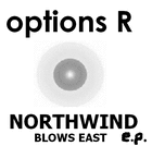 Picture for song 'Fuse Mountain' by artist 'options R'