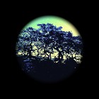 Picture for song 'Mr Hubber bubber, ynz ft kikitin' by artist 'originalbeatsproducer'