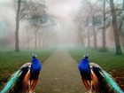 Picture for song 'I'm Your Ghost' by artist 'Oversees'