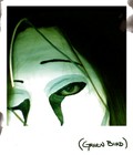 Picture for song 'Green Birdz' by artist 'ParowDox'