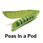 Picture for song 'Peas in a Pod' by artist 'Passenger Airbag'
