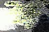 Picture for song 'Heatwave' by artist 'Patrick Harris'