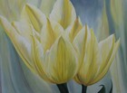 Picture for song 'Gentle' by artist 'Paulo UK'