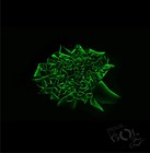 Picture for song 'Paisaje de palabras-Penal y gol es gol' by artist 'PENAL Y GOL ES GOL'