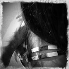 Picture for song 'Gravity' by artist 'PERMA F'