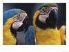 Picture for song 'Are you really there?' by artist 'peter thorn'