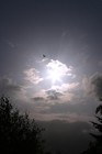 Picture for song 'L'oiseau des nuages' by artist 'Philippe Rose'