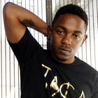 Picture for song '*J Cole* Bed Of Roses (Free D\L)' by artist 'PLATINUM SELLERS BEATS'