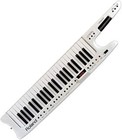 Picture for song 'BBS Acoustic Keytar *FREE D/L*' by artist 'P-Long Beats'