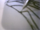 Picture for song 'Rhaisa's Fries' by artist 'PostScriptEd'