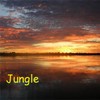 Picture for song 'Jungle' by artist 'princess eldi'