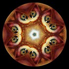 Picture for song 'The Kaleidoscope' by artist 'princess eldi'