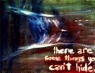 Picture for song 'CANT HIDE (remix DJADD85)' by artist 'Project Domain'