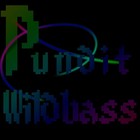 Picture for song 'Wildbass Demo' by artist 'Pundit'