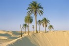 Picture for song 'Arabian Travel' by artist 'RAF21'