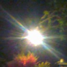 Picture for song 'redusal.mp3' by artist 'Regards for Retards'