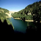 Picture for song 'Orton Loop' by artist 'Remedy101'