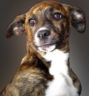 Picture for song 'One For The Road' by artist 'RimeRReasoN'