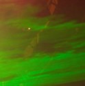 Picture for song 'Astral Vision (Live)' by artist 'rj vanderson'