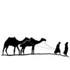 Picture for song 'Where Nomads Roam' by artist 'ROBERT M LISANTI'