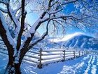 Picture for song 'Myths Of Winter (2007)' by artist 'Robin And The Giant'