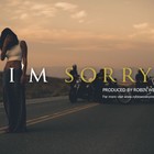 Picture for song 'SOLD - I'm Sorry' by artist 'Robin Wesley'