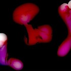 Picture for song 'Hallow 2.0.mp3' by artist 'RokPauz'