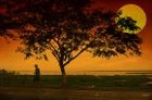Picture for song 'You'll Be Gone' by artist 'Ron Lehner'