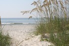 Picture for song 'Communists on the Water (A South Florida Fable)' by artist 'Roy Williams'
