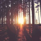 Picture for song '*NEW* Promises ($0.99 Demo DL)' by artist 'Runaway Muzic'