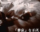 Picture for song 'Shizuka na Utsubyou' by artist 'Sabi Ryuuji'