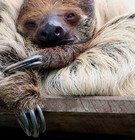 Picture for song 'Down' by artist 'SAIMANmusic'