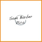 Picture for song 'Pica' by artist 'Sam Barber'