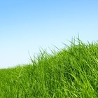 Picture for song 'Greensleeves - Indian Version' by artist 'Samir Sarkar'