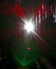 Picture for song 'child of the sun' by artist 'Sandra Bronder'