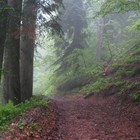 Picture for song 'stamps' by artist 'SaneBeats'