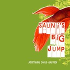 Picture for song 'Where We Left Off' by artist 'Sauni's Big Jump'