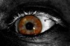 Picture for song 'need to talk' by artist 'SBC-LIFE RECORDINGS'