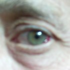 Picture for song 'The Look 471383' by artist 'Scott Monroe Percussionist Extraordinaire'