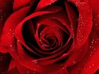 Picture for song 'Llego el Amor' by artist 'scrashdj'