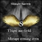 Picture for song 'Flügel aus Gold' by artist 'Sefyx'