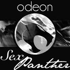 Picture for song 'You A Joke (Ha Ha Haa)' by artist 'sexpanther'