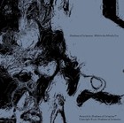 Picture for song 'Summoning Wind' by artist 'Shadows of Existence'