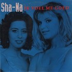 Picture for song '4) Ik voel me goed' by artist 'ShaNaMusic'