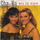 Picture for song '7) Bij je zijn' by artist 'ShaNaMusic'