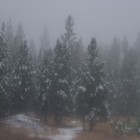 Picture for song 'forever more' by artist 'Shannon Ross'