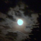 Picture for song 'J. Moczygemba - Strobelights (S. Ross SeeingStars)' by artist 'Shannon Ross'